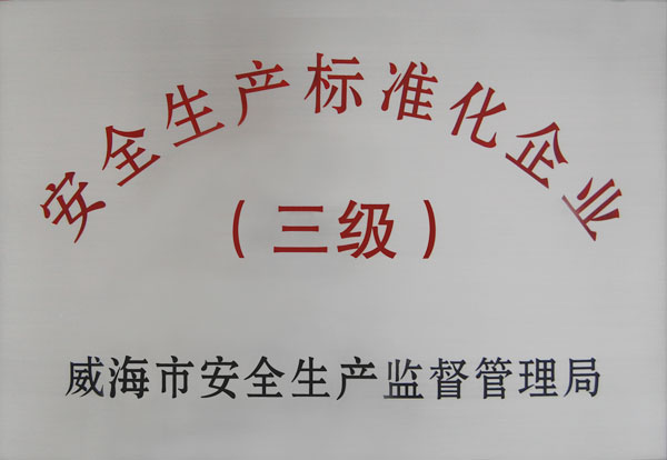 安全生產(chǎn)標(biāo)準(zhǔn)化企業(yè) 安全生產(chǎn)標(biāo)準(zhǔn)化企業(yè)