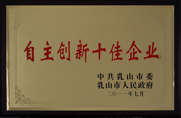 自主創(chuàng)新十佳企業(yè) 自主創(chuàng)新十佳企業(yè)