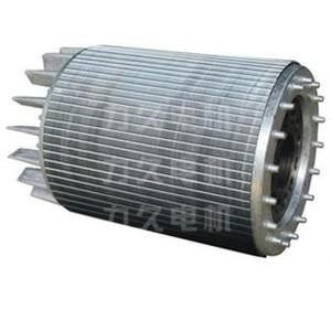 鑄鋁轉(zhuǎn)子 鑄鋁轉(zhuǎn)子