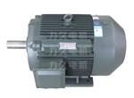 高效電機(jī) 高效電機(jī)