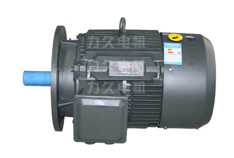 YP2電機(jī) YP2電機(jī)