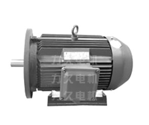 雙頻高效電機(jī) 雙頻高效電機(jī)