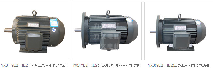 YX3系列高效節(jié)能電機(jī) YX3系列高效節(jié)能電機(jī)