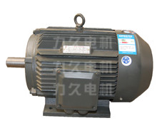 YX3系列高效電機 YX3系列高效電機