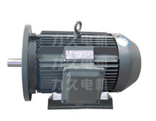 YX3系列高效電機(jī) YX3系列高效電機(jī)