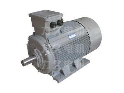 YE3超高效電機 YE3超高效電機