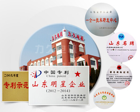 力久電機(jī)——行業(yè)的一顆明星 力久電機(jī)——行業(yè)的一顆明星