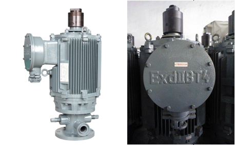 油田專用TYPL隔爆型永磁變頻電機(jī) 油田專用TYPL隔爆型永磁變頻電機(jī)