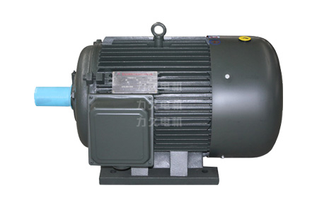 TYG系列高啟動(dòng)轉(zhuǎn)矩高效永磁同步電機(jī) TYG系列高啟動(dòng)轉(zhuǎn)矩高效永磁同步電機(jī)