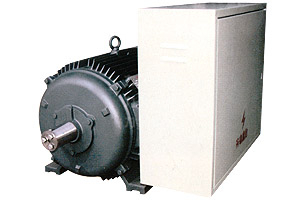 DYG高啟動轉(zhuǎn)矩多速電機(jī)