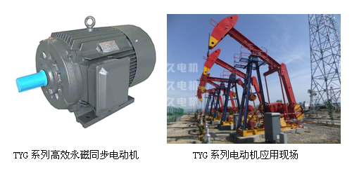TYG高效永磁同步電機 TYG高效永磁同步電機