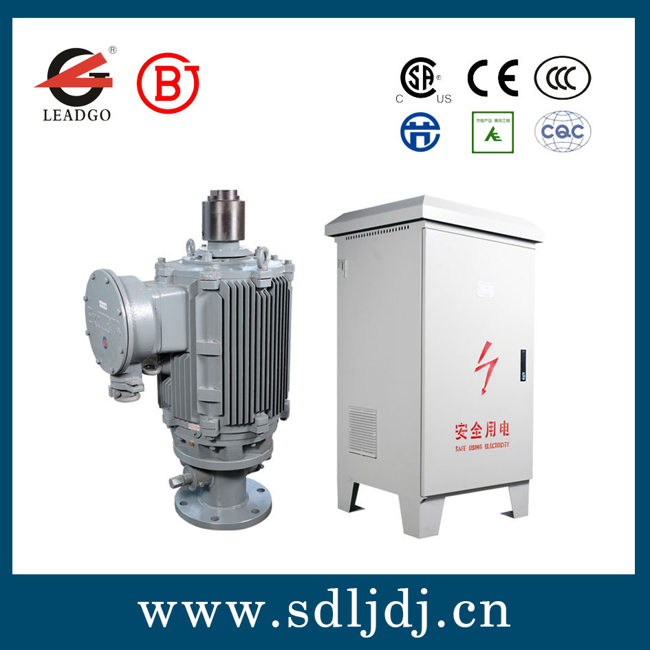 油田專(zhuān)用永磁同步電機(jī) 油田專(zhuān)用永磁同步電機(jī)