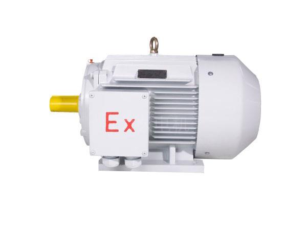 YFBX3系列高效率粉塵防爆型三相異步電動(dòng)機(jī) YFBX3系列高效率粉塵防爆型三相異步電動(dòng)機(jī)