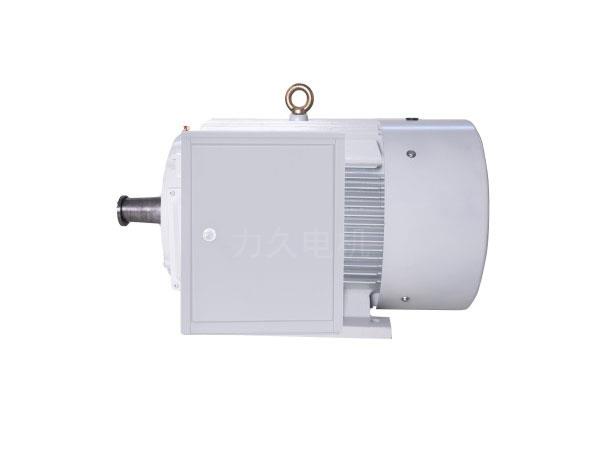 YDGJ系列三相異步多功率電動(dòng)機(jī) YDGJ系列三相異步多功率電動(dòng)機(jī)