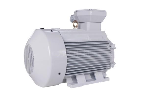 YBX5系列高效率隔爆型三相異步電動(dòng)機(jī) YBX5系列高效率隔爆型三相異步電動(dòng)機(jī)