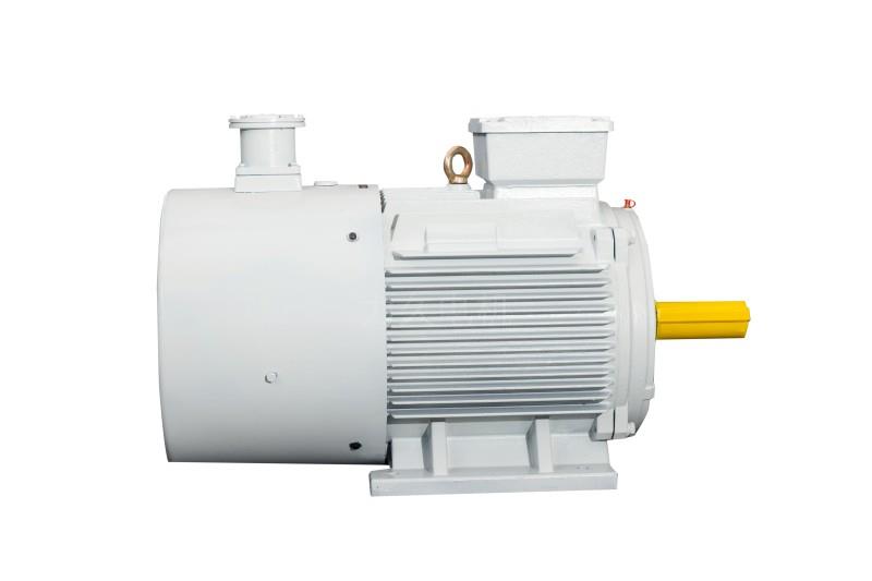 YFBBPX3系列高效率粉塵防爆型變頻調(diào)速三相異步電動(dòng)機(jī) YFBBPX3系列高效率粉塵防爆型變頻調(diào)速三相異步電動(dòng)機(jī)