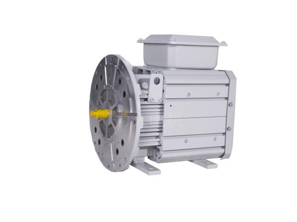 GTYP系列高效高速永磁變頻同步電動(dòng)機(jī) GTYP系列高效高速永磁變頻同步電動(dòng)機(jī)