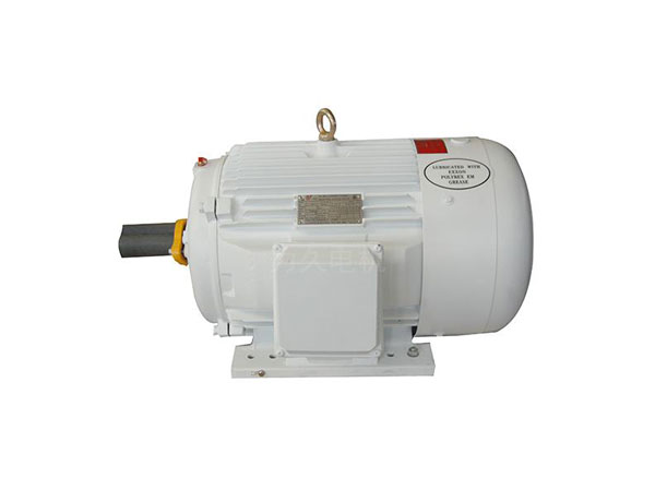 NEMA標(biāo)準(zhǔn)三相異步電動機(jī)(D設(shè)計、油井泵專用電機(jī))